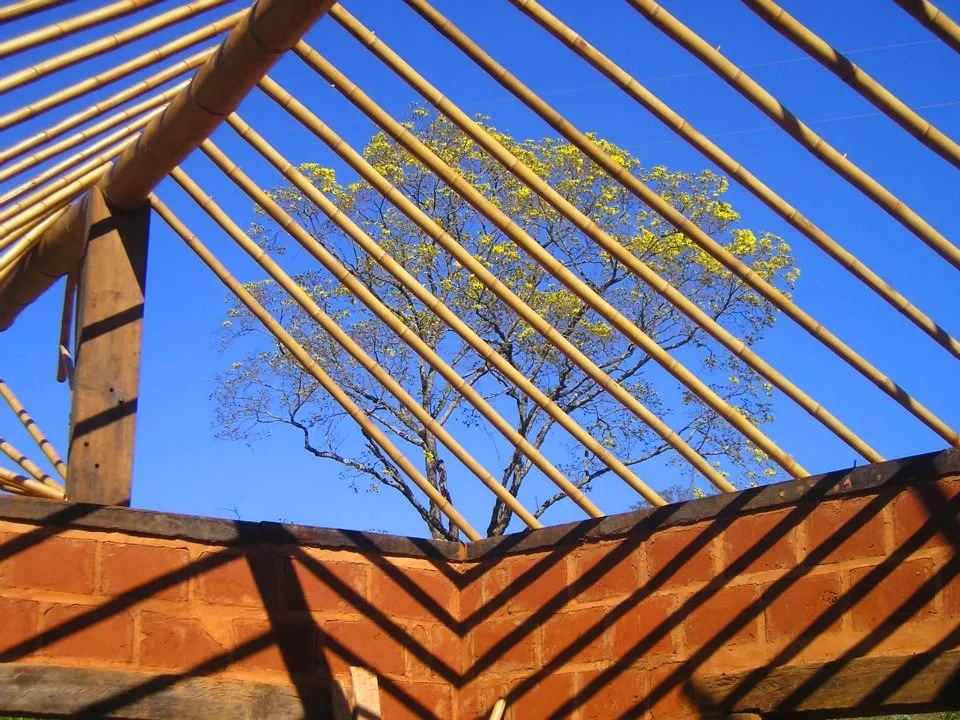 Construções sustentáveis com bambu
