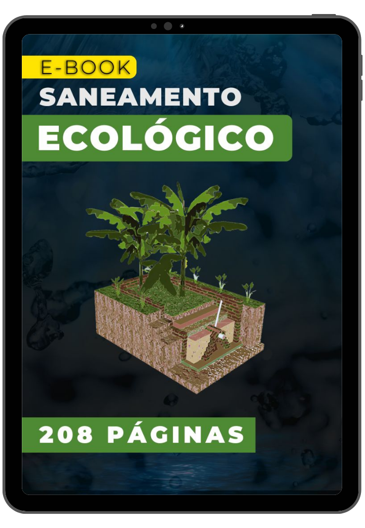 Livro digital com 208 páginas